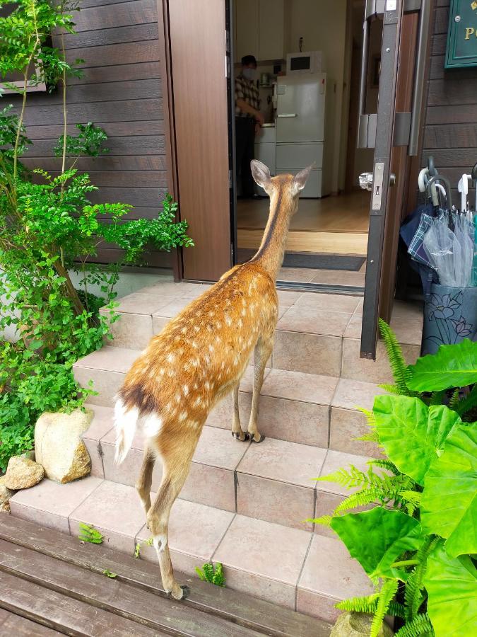 Mini Inn Nara- - 外国人向け - 日本人予約不可 Extérieur photo